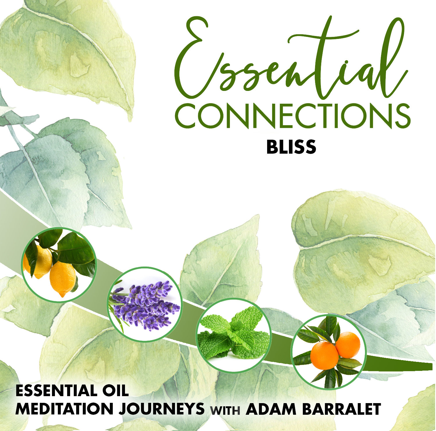 Essential Connections Guided Meditations CD - Bliss
