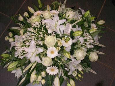 Coussin Blanc
