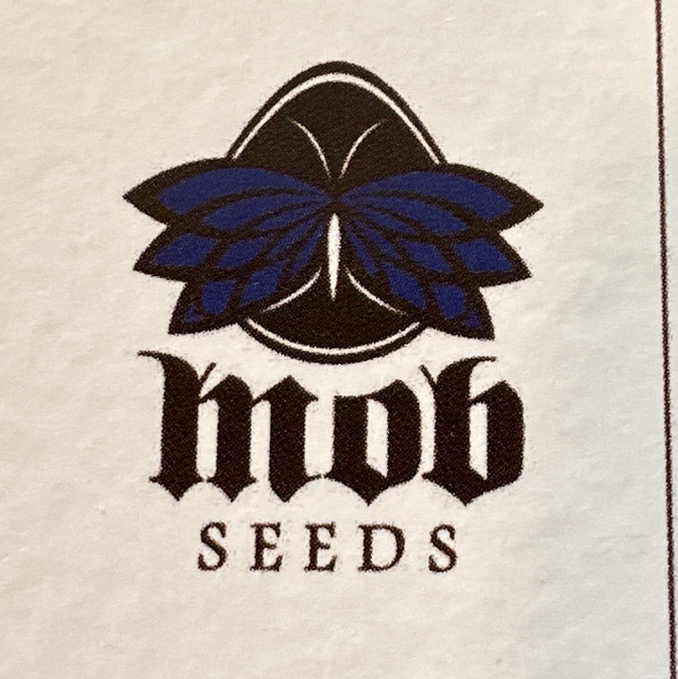 Blue Gonzo Bc1 Collectible Card