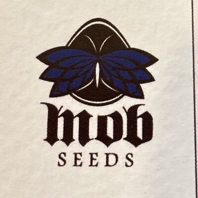 Blue Gonzo Bc1 Collectible Card