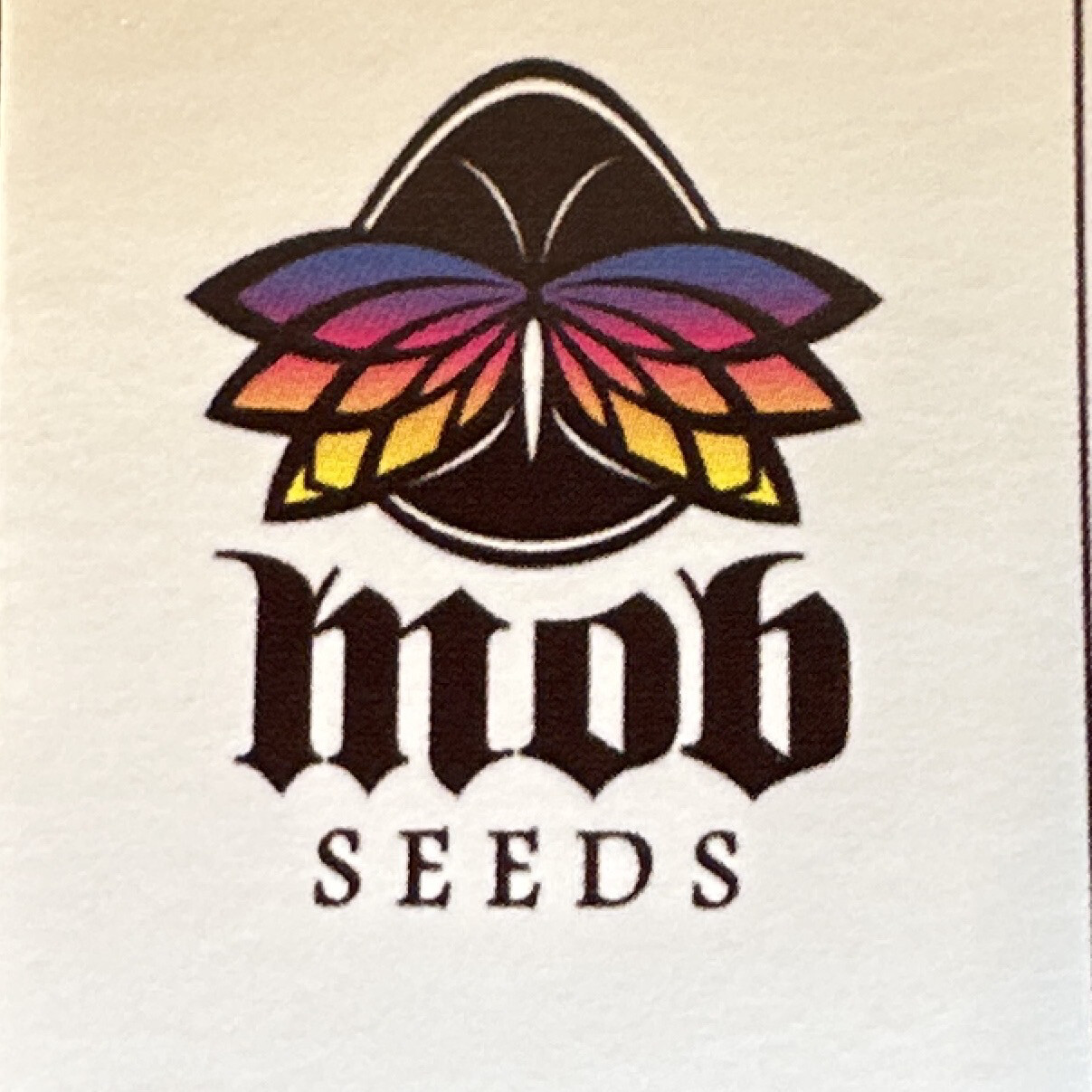 Velvet Sunrise X TOBC1 Collectible Card