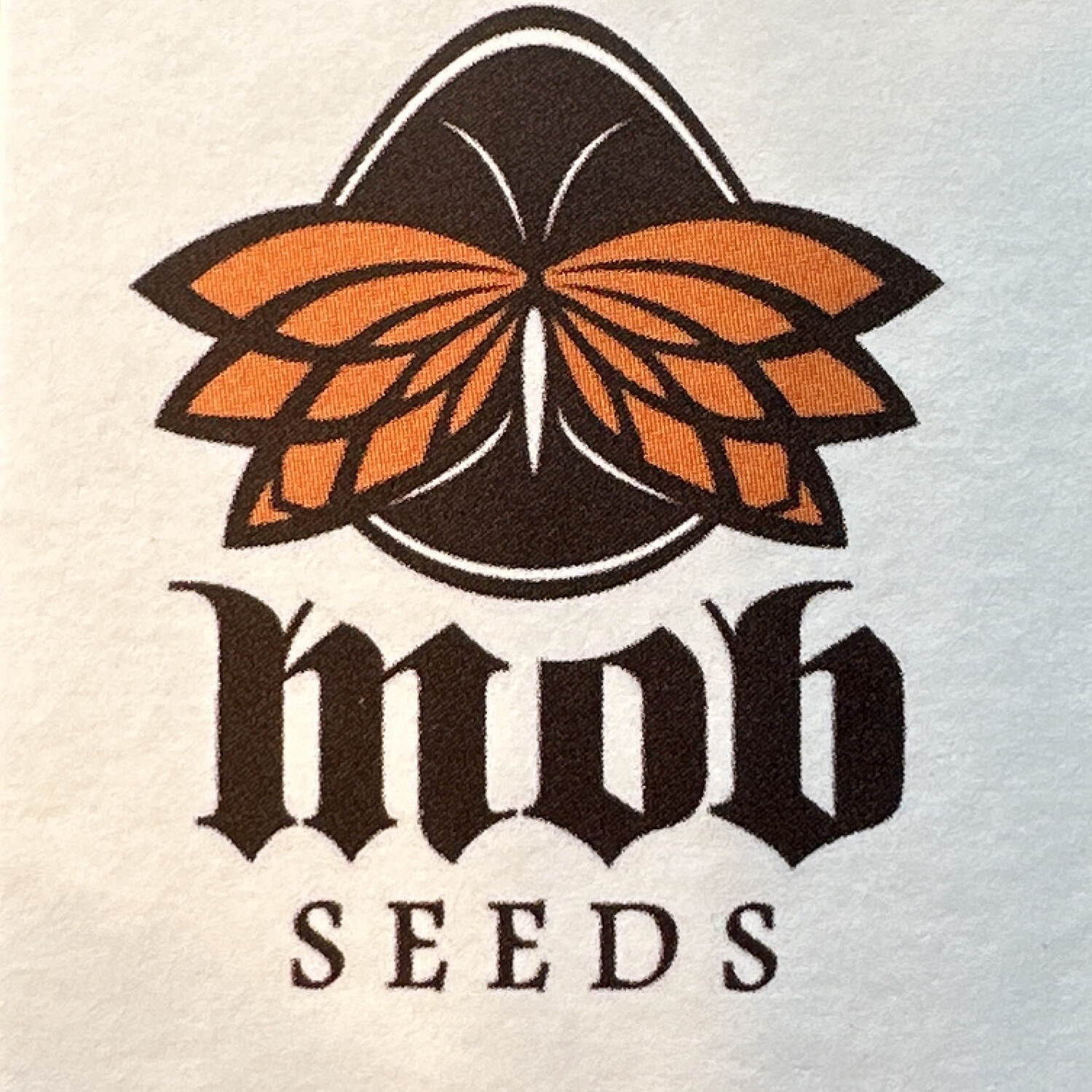 The Orange One Collectible Card