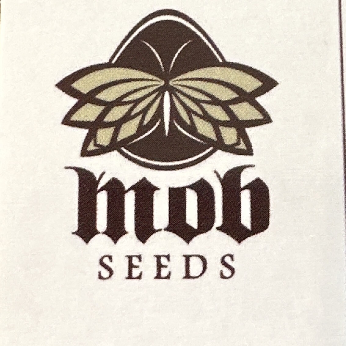 White Sage Collectible Card