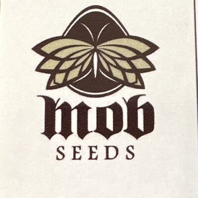 White Sage Collectible Card