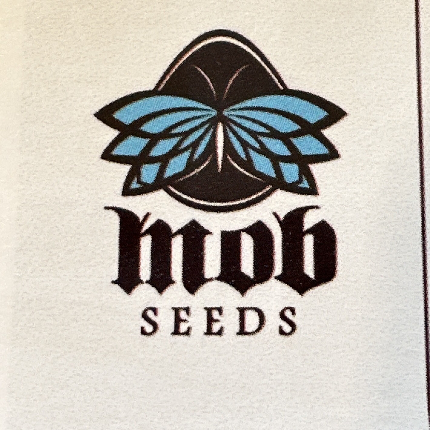 Ship Of Blues Collectible Card