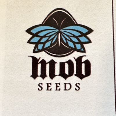 Ship Of Blues Collectible Card