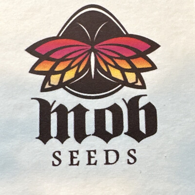 Citron 2.0 Collectible Card