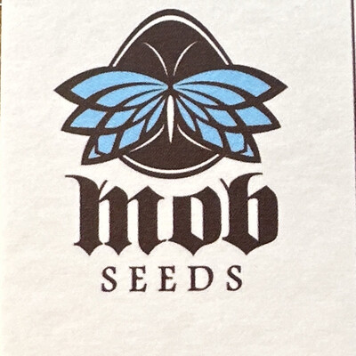 Psyche Collectible Card