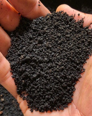 Soil Health