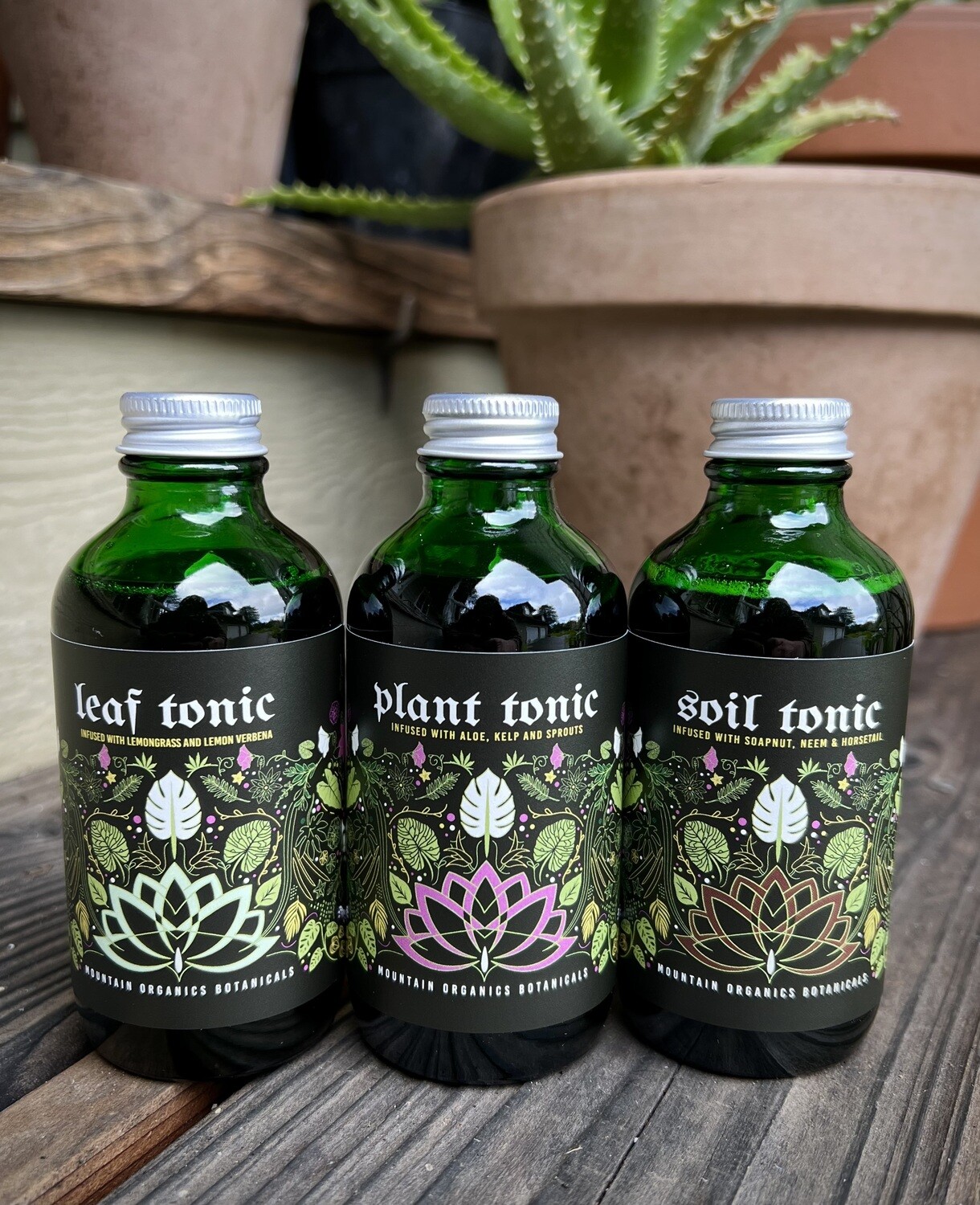 Botanical Tonic Bundle