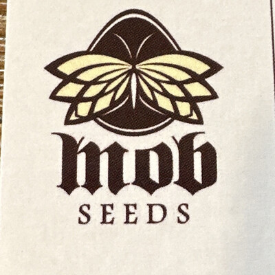MOB Sour aka Mayo Collectible Card