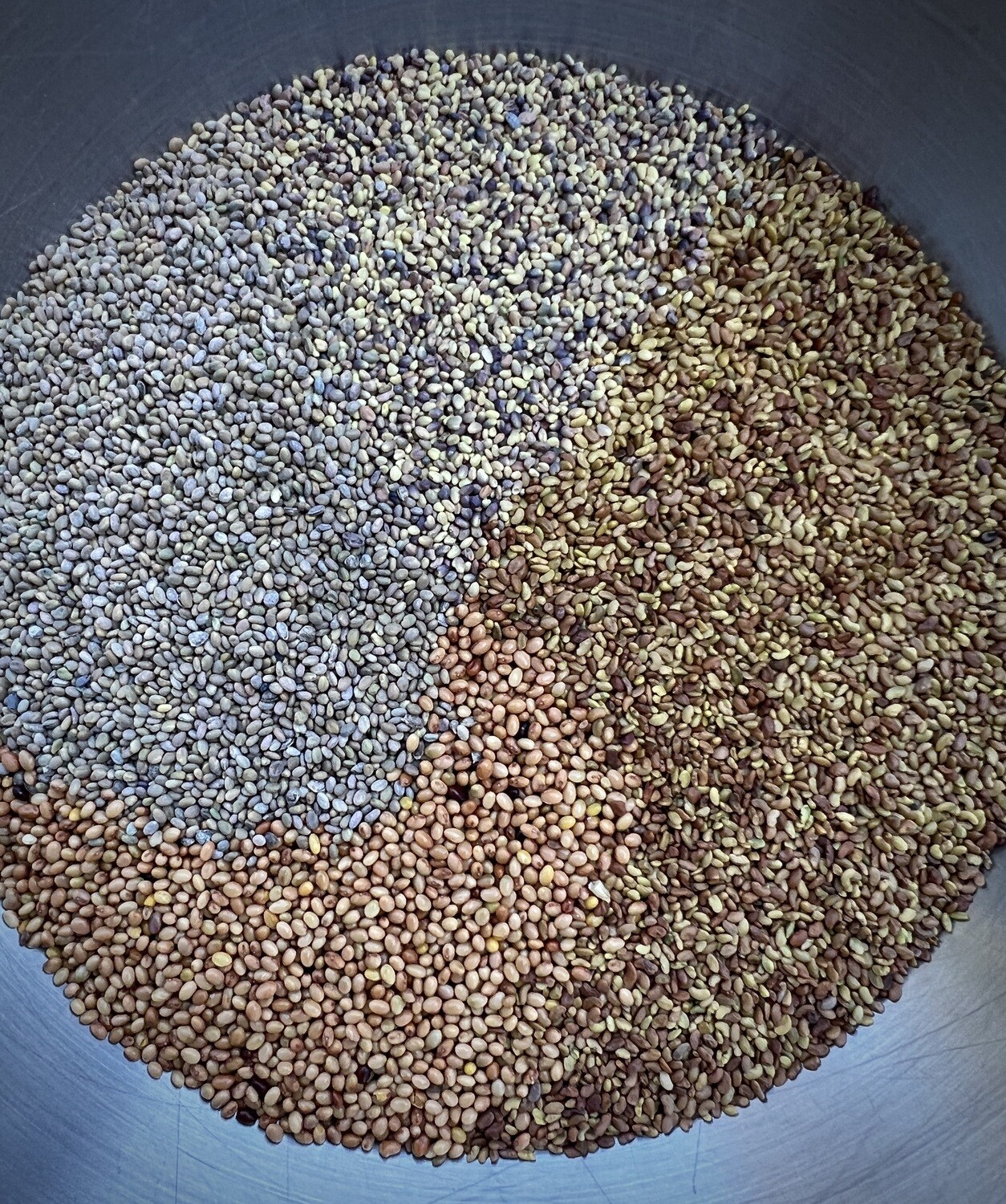 MOB Organic Clover Blend