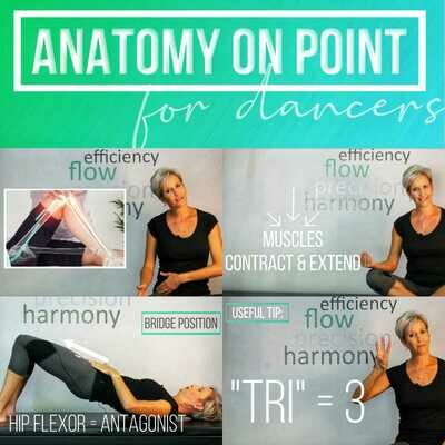 Anatomy on Pointe - Anatomy for Dancers