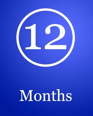 12 months