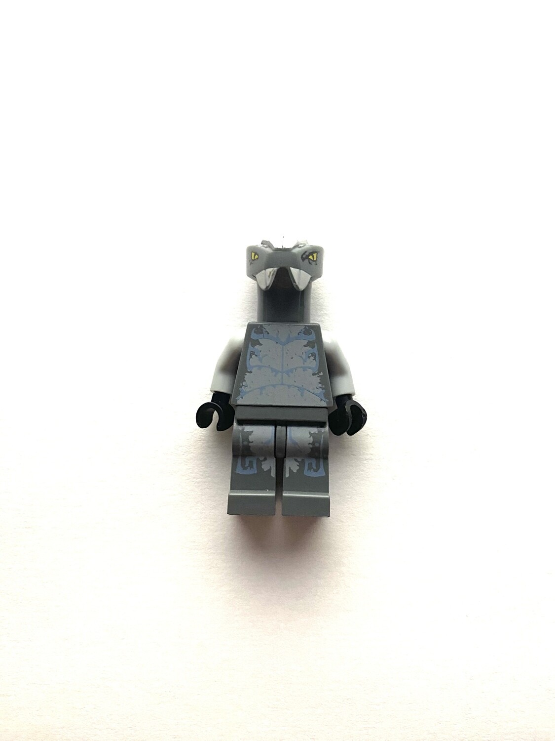LEGO Ninjago (1)
