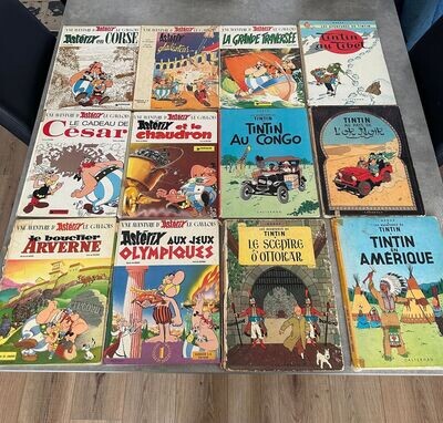 Lot De 21 Livres Tintin Et Astérix