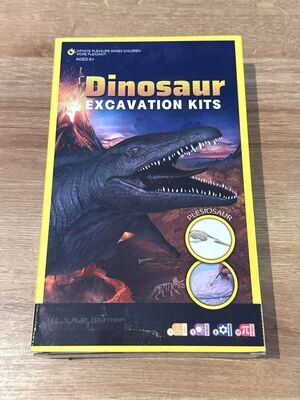 kits dinosaure excavation (1)