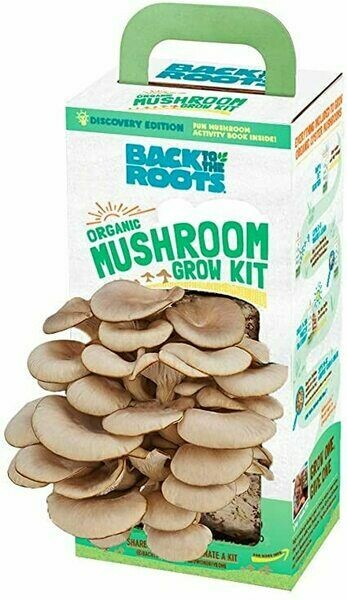 Mushrooms best shop