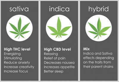 Primo Hit Strawnana Haze (Sativa)
