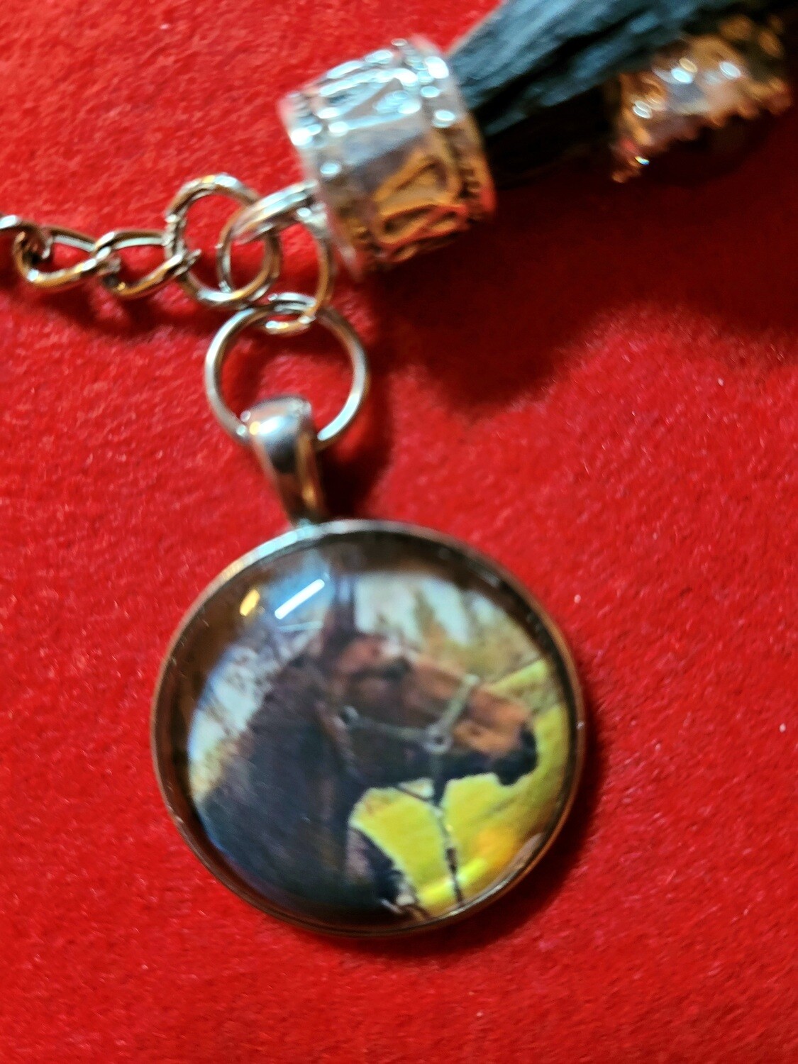 Picture pendants