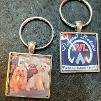 Picture pendants