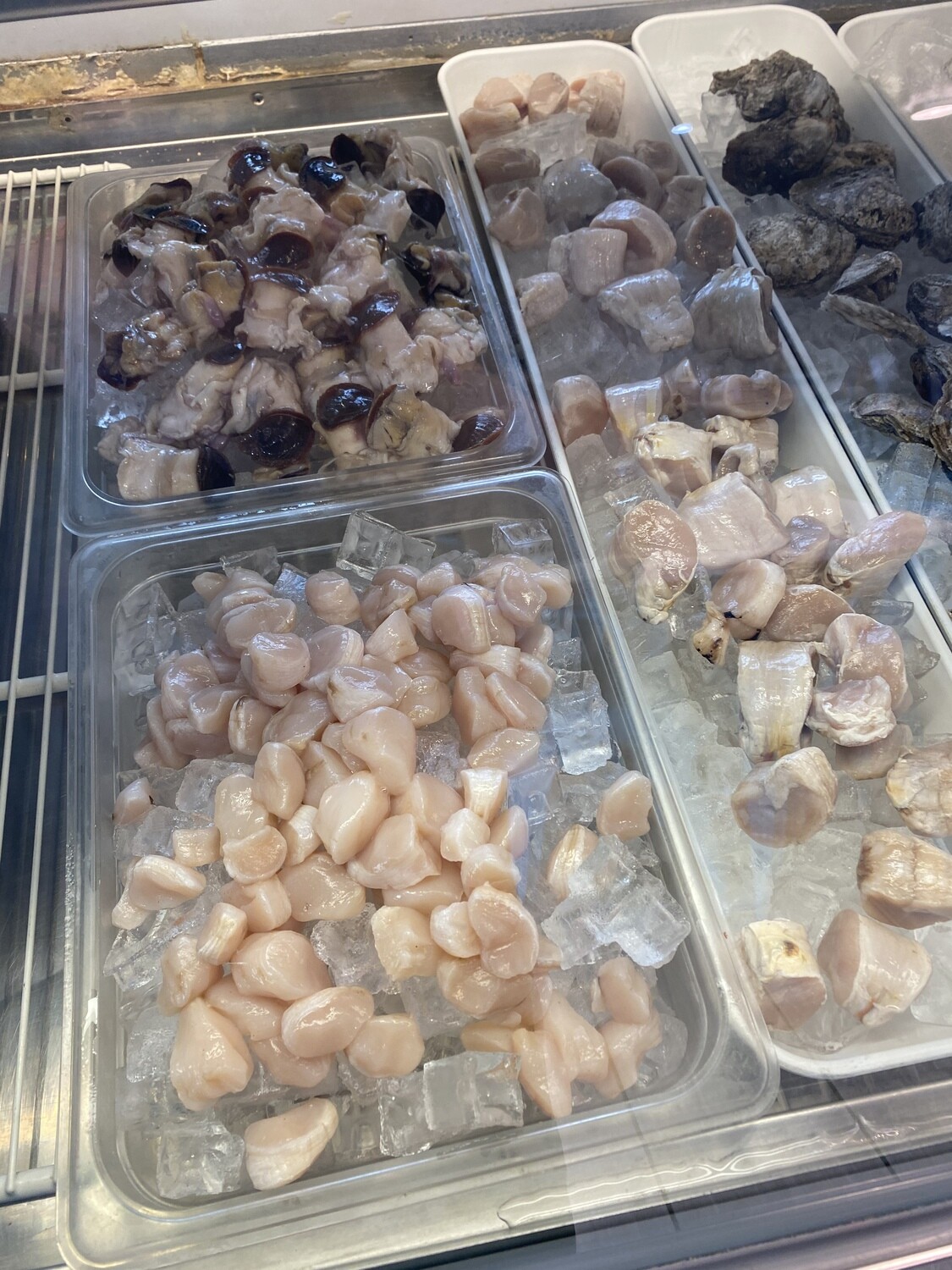 Scallop variety-Variedad de callos