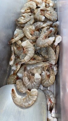 Wild caught shrimp-Camarón de mar y bahia