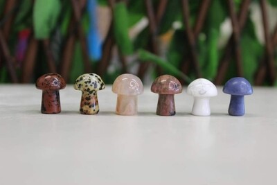 Crystal Shape | Tumble