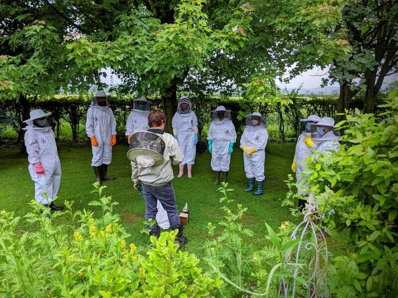 Bee hive experience 2025