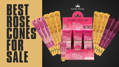 KING PALM ORGANIC ROSE CONES K/S 3PK 15PK/BOX