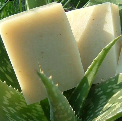 Aloe vera coconut loofah Vegan Soap
