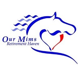 Sponsor a horse. tier 1 I dream with Jeanne