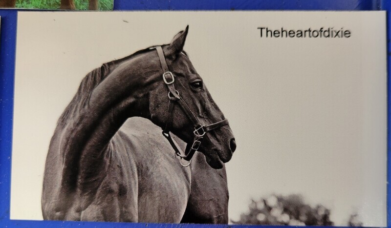 Theheartofdixie Magnet