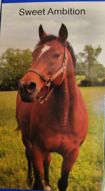 Sweet Ambition Magnet