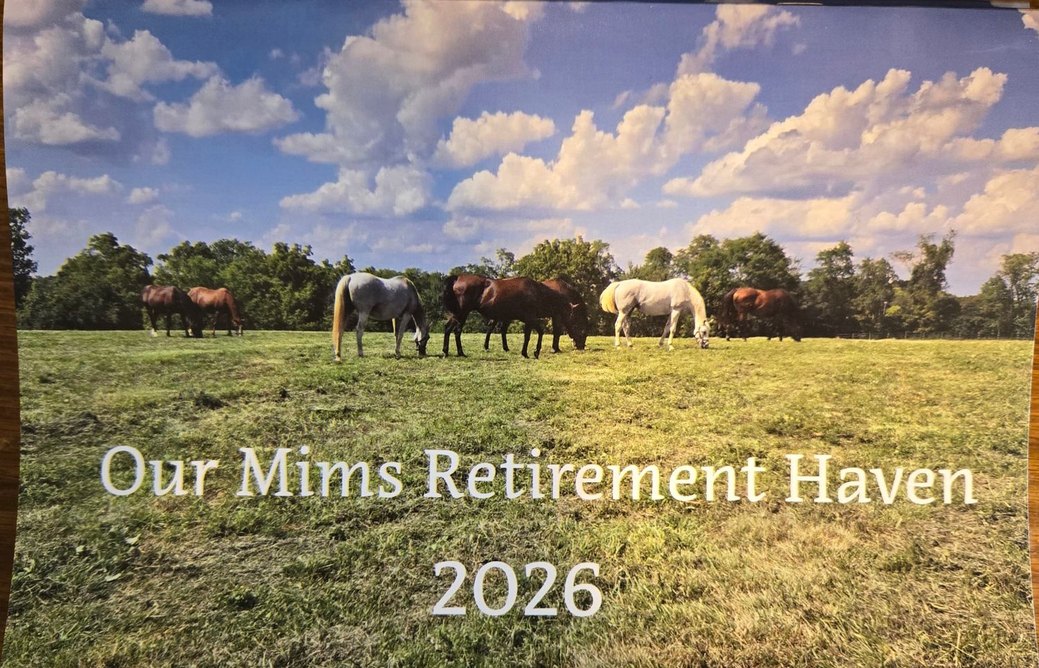 2026 Calendar