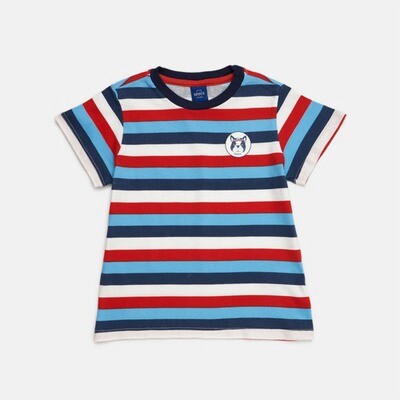 Remera Amadeo Nn