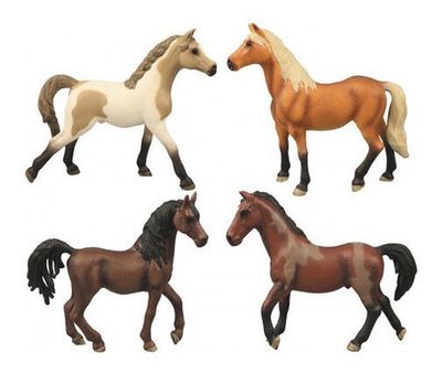 Caballos