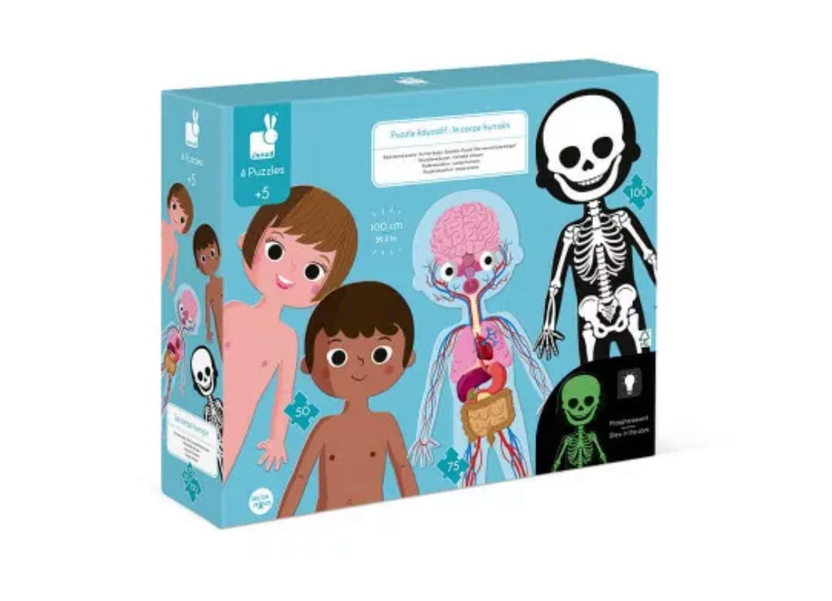 Puzle Educativo Cuerpo Humano