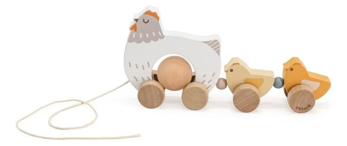 Gallina arrastre Polar B