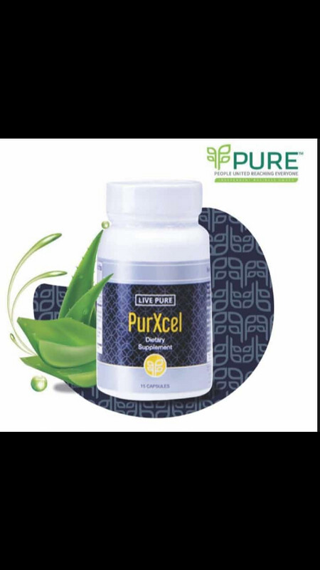 LIVE PURE PURXCELL | LIVE PURXCELL | PURXCELL