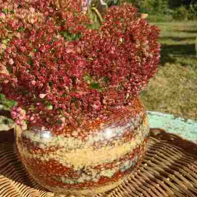 Vase céramique boule marron