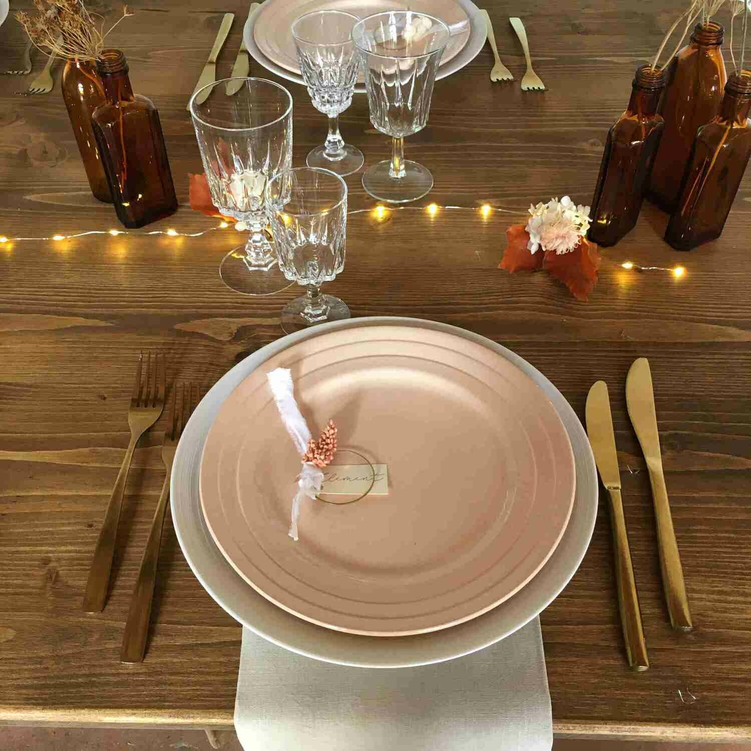 Assiette porcelaine saumon plate