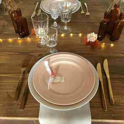 Assiette porcelaine saumon plate