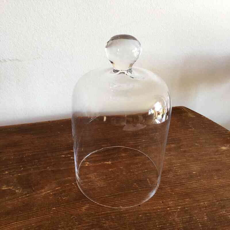 Cloche en verre haute