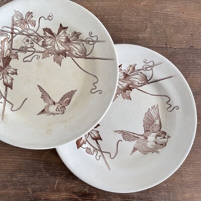 Assiette porcelaine oiseaux marrons plate