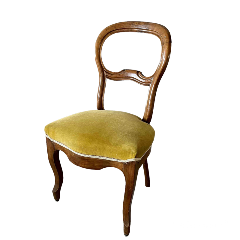 Chaise bois assise velours jaune