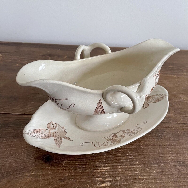 Saucière marron oiseaux