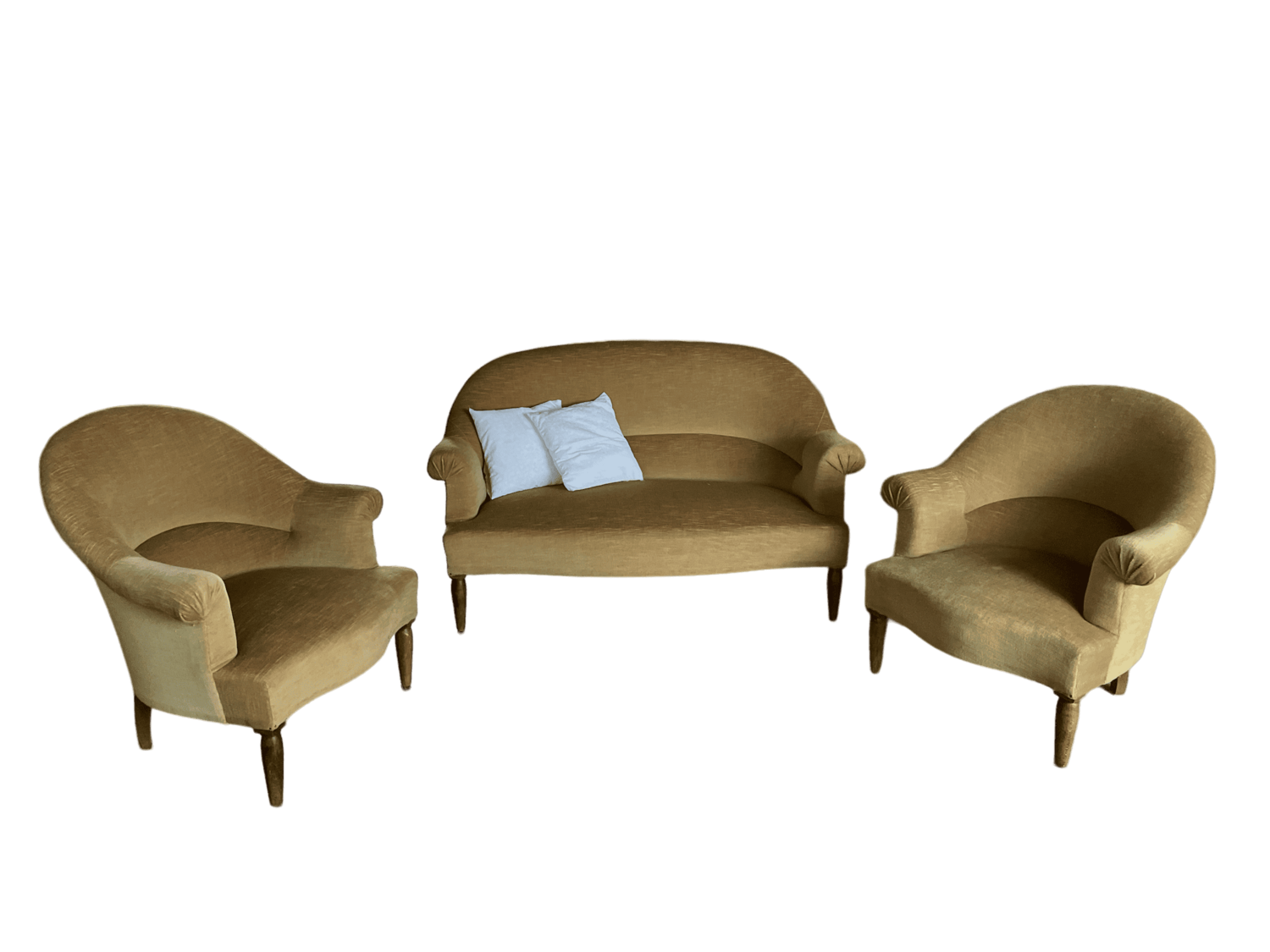 Salon crapaud velours beige