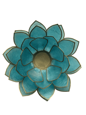 Photophore nacre lotus bleu