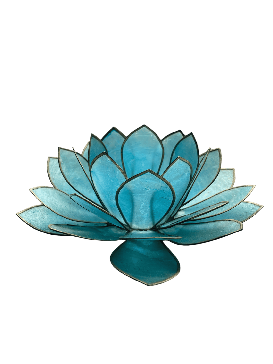 Photophore nacre lotus bleu